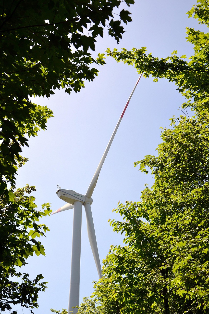 wind power, windmill, wind turbine, wind energy, energy production, energy, electricity, sustainability, regenerative, energy transition, resources, wind, rotor, rotor blades, green, generator, energy saving, technology, sustainability, sustainability, sustainability, sustainability, sustainability
